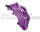 Foliatec Brake Caliper Lacquer Set deep violet, glossy