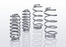 Eibach Lift Sport Springs front 25 mm / rear 25 mm