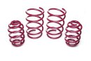 Vogtland sport springs FA 30 / RA 20 mm