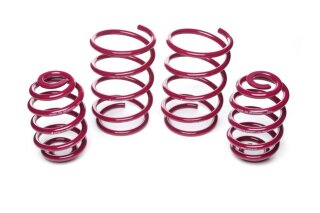 Vogtland sport springs 35 / Serie