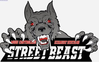 Street Beast 3 Zoll (76mm) Duplex-Endschalldämpfer Edelstahl mit Soundgenerator per Handy-App