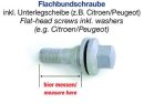 H&R Flat-head screws Citroen/Peugeot (Length incl....