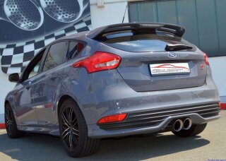 Friedrich Motorsport 3 Zoll (76mm) Sportendschalldämpfer mittig Edelstahl