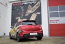Friedrich Motorsport Duplex-Sportendschalld&auml;mpfer Edelstahl