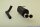 back-silencer aluminised steel