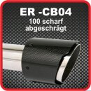 Endrohr Echt-Carbon 1 x 100mm rund scharf abgeschr&auml;gt, schwarz