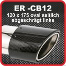 Endrohr Echt-Carbon 1 x 120x175mm oval seitlich...