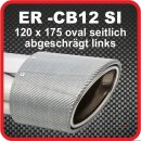 Endrohr Echt-Carbon 1 x 120x175mm oval seitlich abgeschr&auml;gt, links, silber gl&auml;nzend
