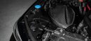 Black Carbon intake