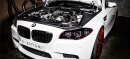 Black Carbon intake