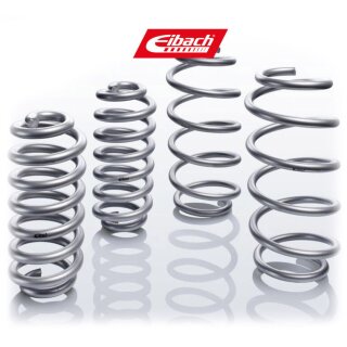 Eibach Lift Sport Springs front + 30-35 mm / rear + 30-35 mm