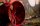Japan Racing JR21 8,5x20 5/108-130 ET20-40 NB74,1 Red