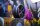Japan Racing SL-01 10,5x19 5/100-120 ET25-40 NB72,6 Gunmetal