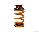 Ohlins DFV (1-way) Coil-over Road &amp; Track