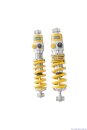 Öhlins Gewindefahrwerk Advanced Trackday TTX36, 2-way