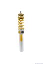 Ohlins Coil-over Advanced Motorsport Kit, h&auml;rtevestellbar front TTX46, 2-way + rear TTX36, 2-way