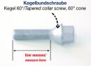 H&amp;R Taper-head screws-set 60&deg; silver incl. rim-lock
