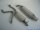 FMS Gruppe A Anlage Ford Escort Fließh + Cabrio (GAL,ALL,90-92) 1.3l 44kW
